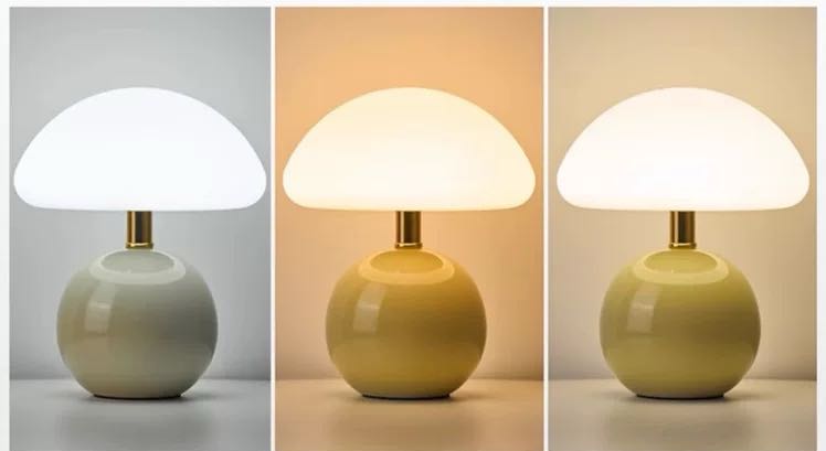 Simple Modern Mushroom Table Lamp USB ReChargeable