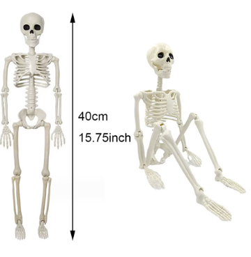 40cm Halloween Human Shape Skeleton