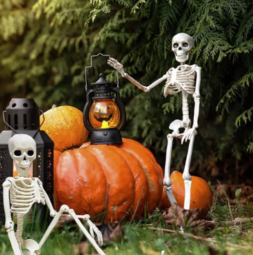 40cm Halloween Human Shape Skeleton