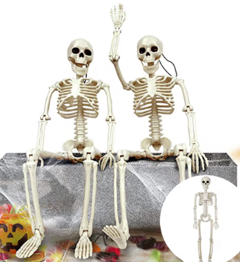 40cm Halloween Human Shape Skeleton